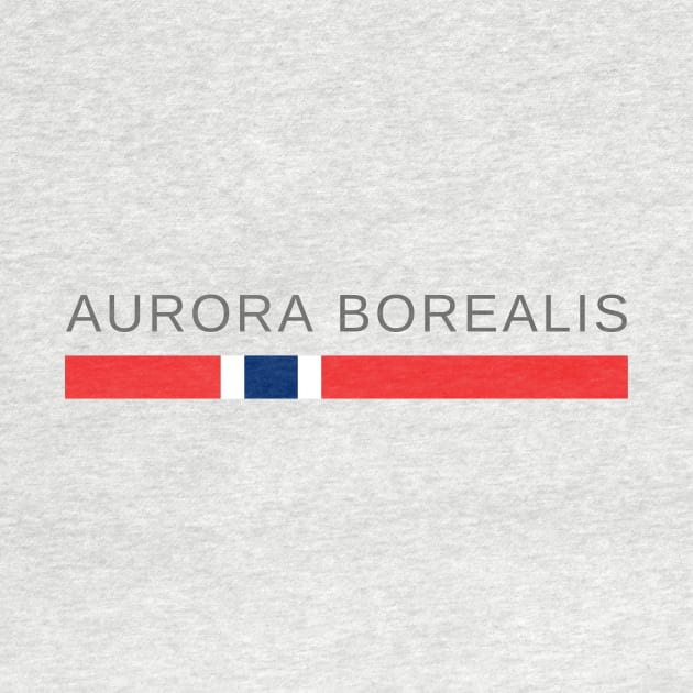 Aurora Borealis | Northern Lights | Norway by tshirtsnorway
